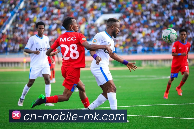 MK体育服务体系